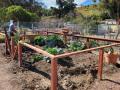 new-garden-enclosures